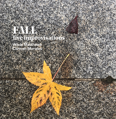 FALL cd cover